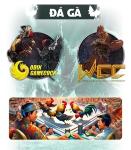 icon đá gà